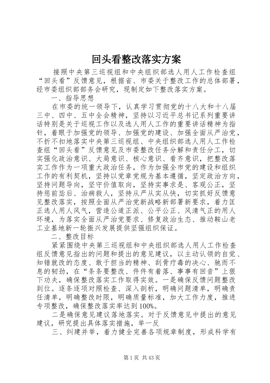 回头看整改落实方案_第1页