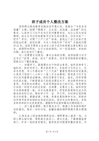 班子成员个人整改方案