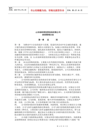 山东某投资担保公司担保管理办法
