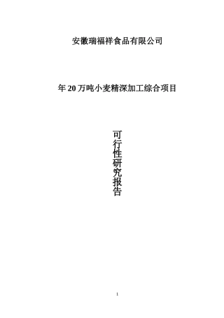 小麦精深加工综合项目可行性研究报告
