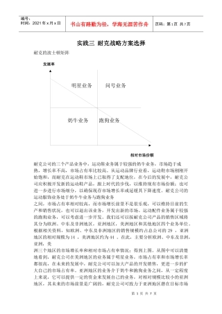 实践三 耐克战略方案