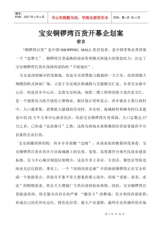 宝安铜锣湾百货开幕企划案