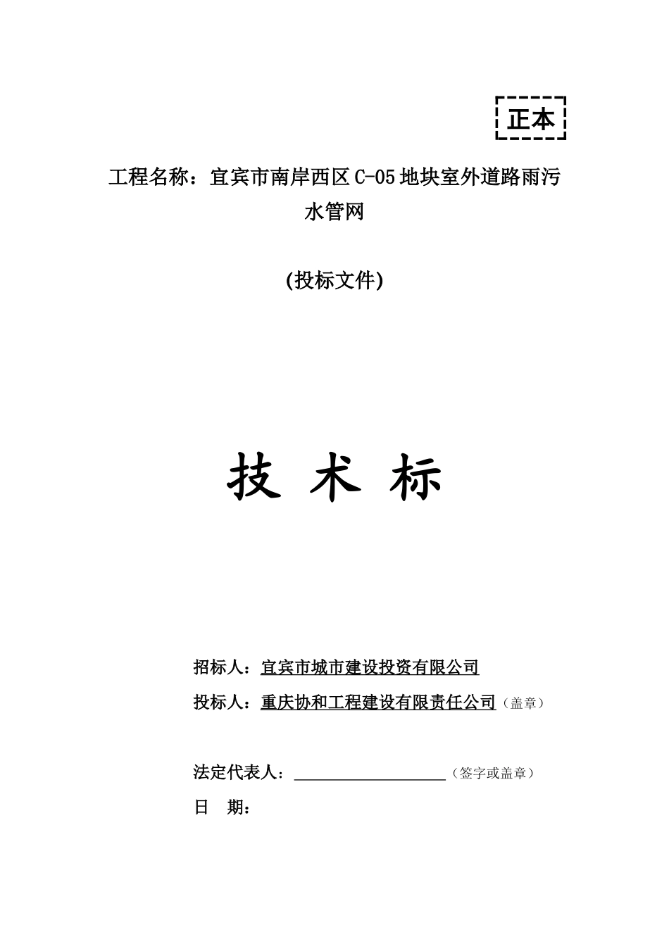 宜宾市南岸西区C-05室外道路雨污水管网工程技术标书_第1页