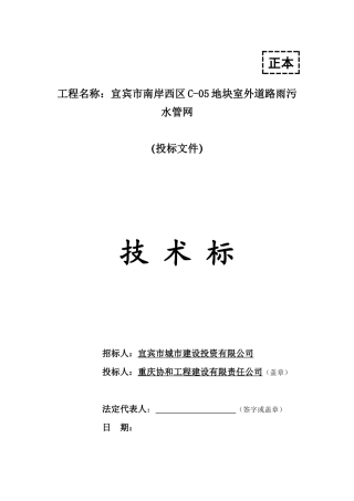 宜宾市南岸西区C-05室外道路雨污水管网工程技术标书