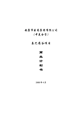 安康市医药集团商业计划书