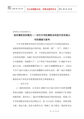 对巴中市某公司的调查与思考