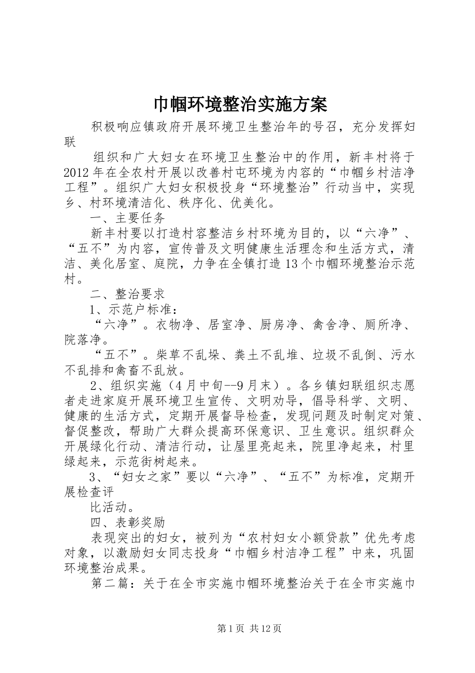 巾帼环境整治实施方案_第1页