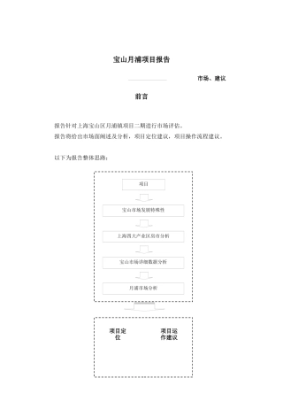 宝山月浦项目报告DOC49(1)