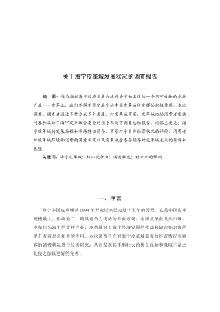 对海宁皮革城发展状况的调查报告