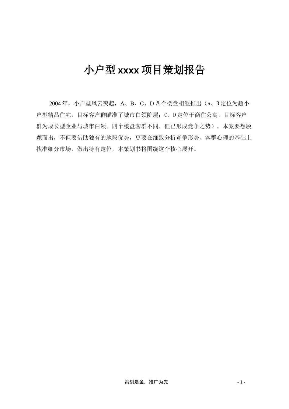 小户型某某项目策划报告情况_第1页