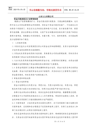 山东××有限公司资金付款流程及计划管理制度-doc