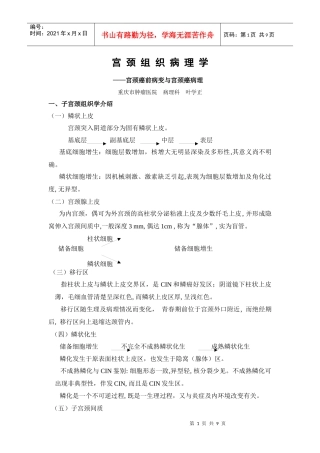 宫颈组织病理学