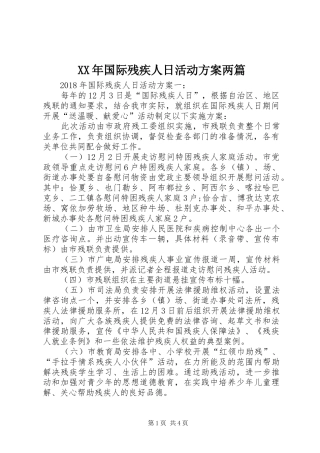 XX年国际残疾人日活动方案两篇