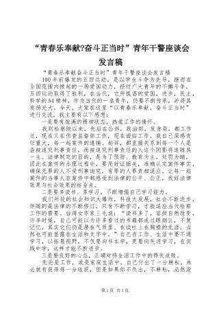 “青春乐奉献-奋斗正当时”青年干警座谈会发言