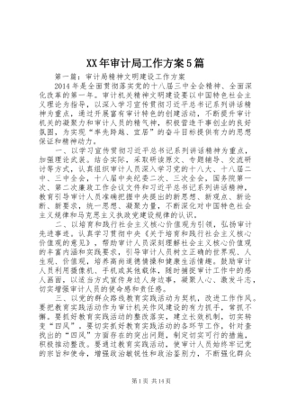 XX年审计局工作方案5篇