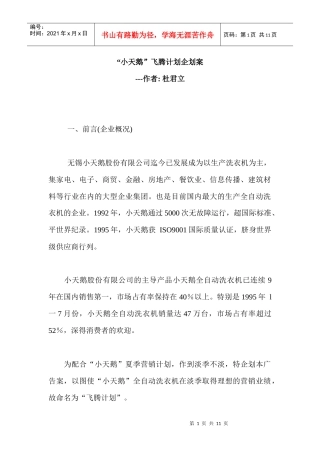 小天鹅飞腾计划企划方案