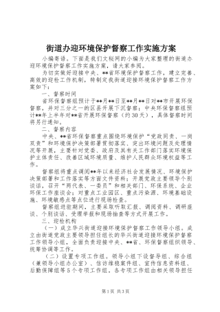 街道办迎环境保护督察工作实施方案