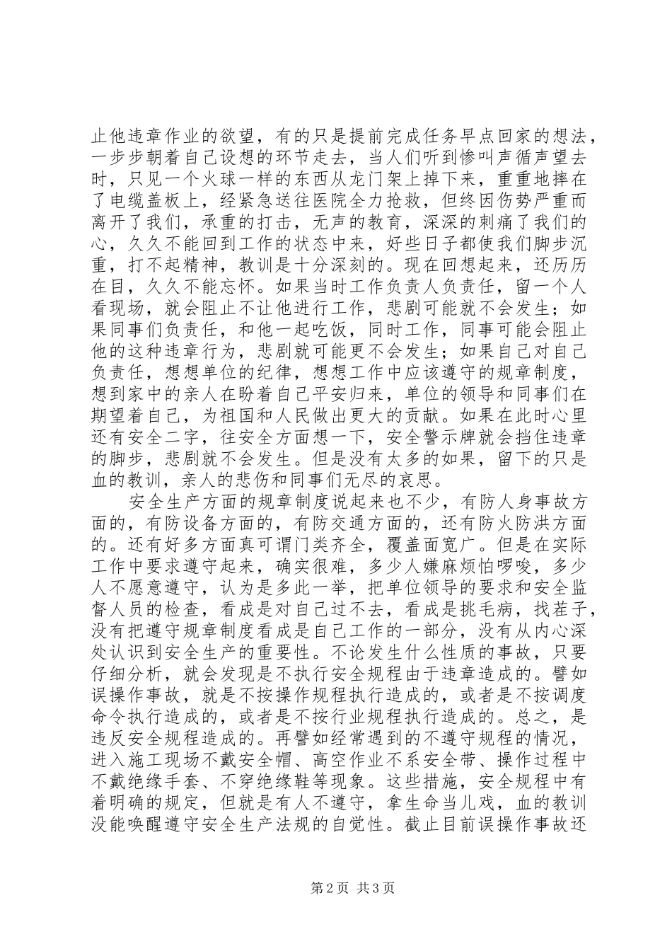 电业职工安全生产演说稿_第2页