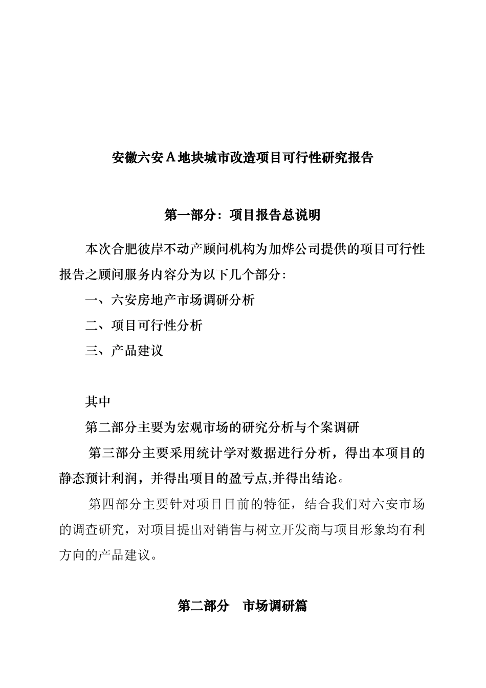 安徽城市改造项目可行性研究报告_第1页