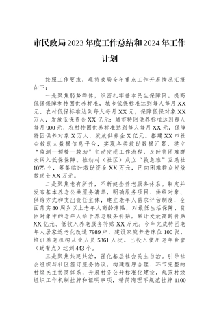 市民政局2023年度工作总结和2024年工作计划