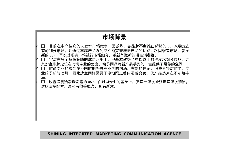 宝洁沙宣产品年度促销计划_第2页