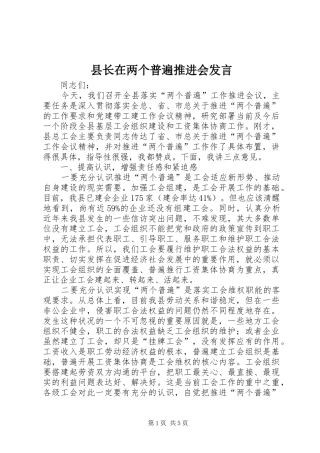 县长在两个普遍推进会发言稿