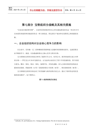 宝铁组织分战略及其相关措施
