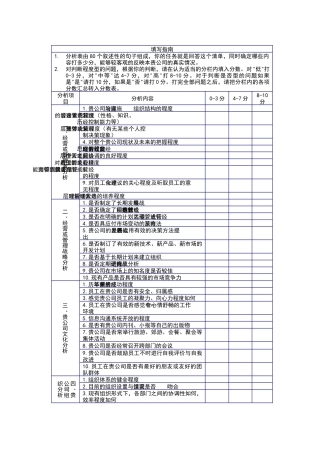 客户公司综合体质自我分析表（DOC4页）