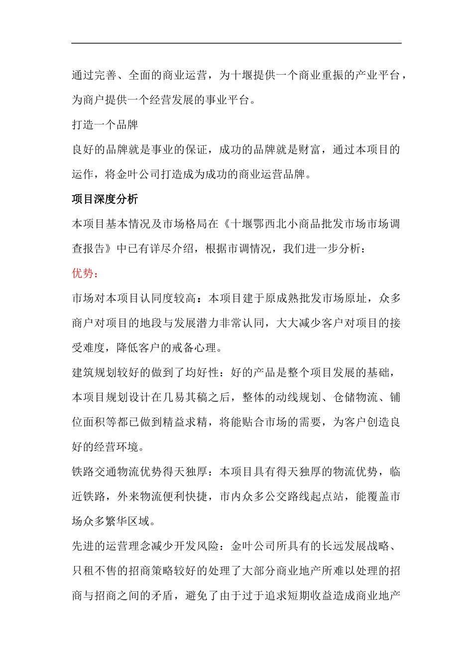 小商品批发市场整体开发战略报告_第3页