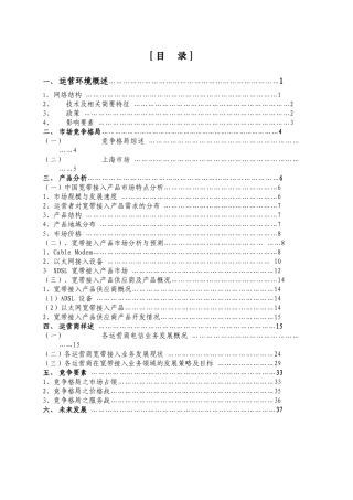 宽带接入竞争者市场报告（摘要1）