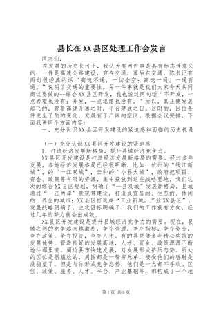 县长在XX县区处理工作会发言稿