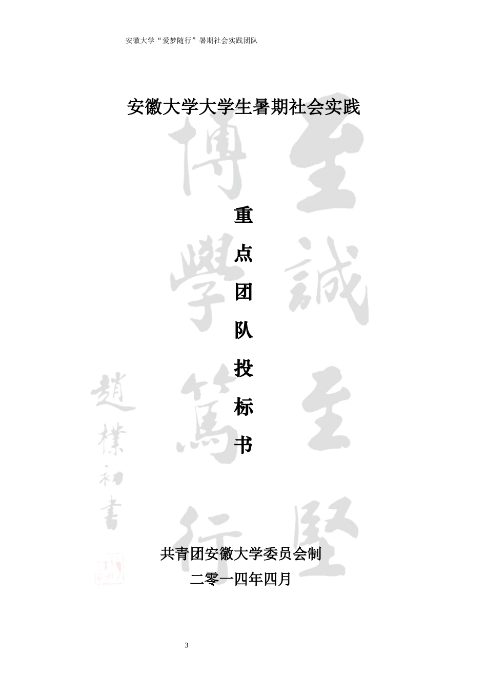 安大暑期社会实践志愿类策划书_第3页