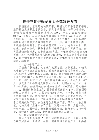 推进三化进程发展大会镇领导发言稿