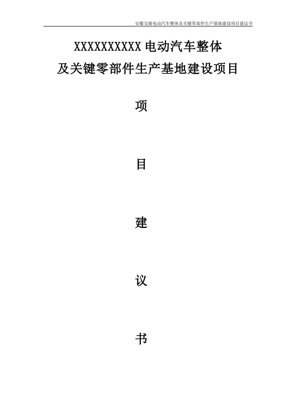 安徽宝骑电动汽车项目建议书_第1页