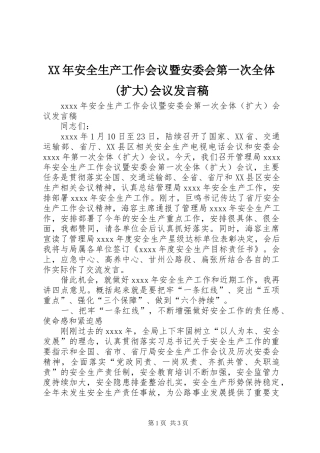 XX年安全生产工作会议暨安委会第一次全体(扩大)会议发言