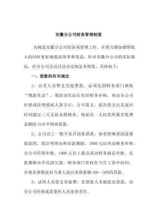 安徽分公司财务管理制度