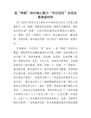县“两新”结对凝心聚力“书记项目”共促发展典型材料