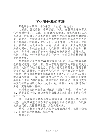 文化节开幕式演讲致辞