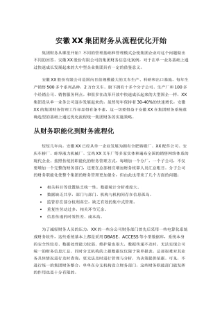 安徽XX集团财务从流程优化开始(doc 7)