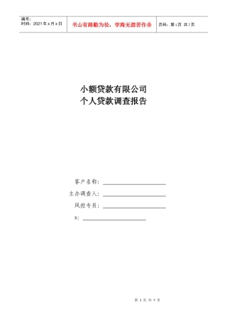 小额贷款公司个人贷款调查报告