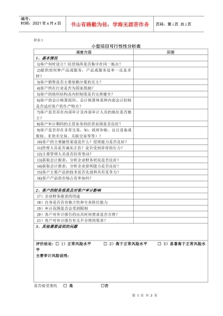 小型项目可行性性分析表