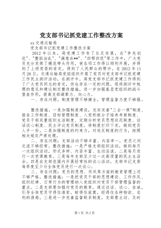 党支部书记抓党建工作整改方案