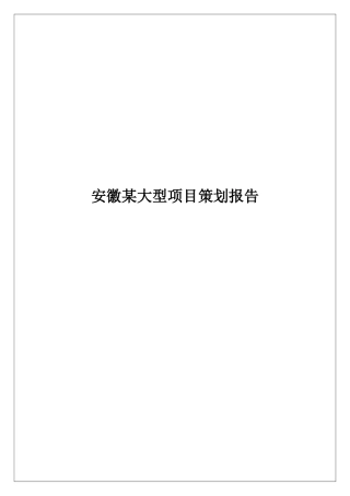 安徽某大型项目研究策划报告