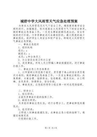 城舒中学大风雨雪天气应急处理预案