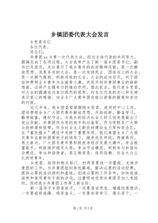 乡镇团委代表大会发言稿