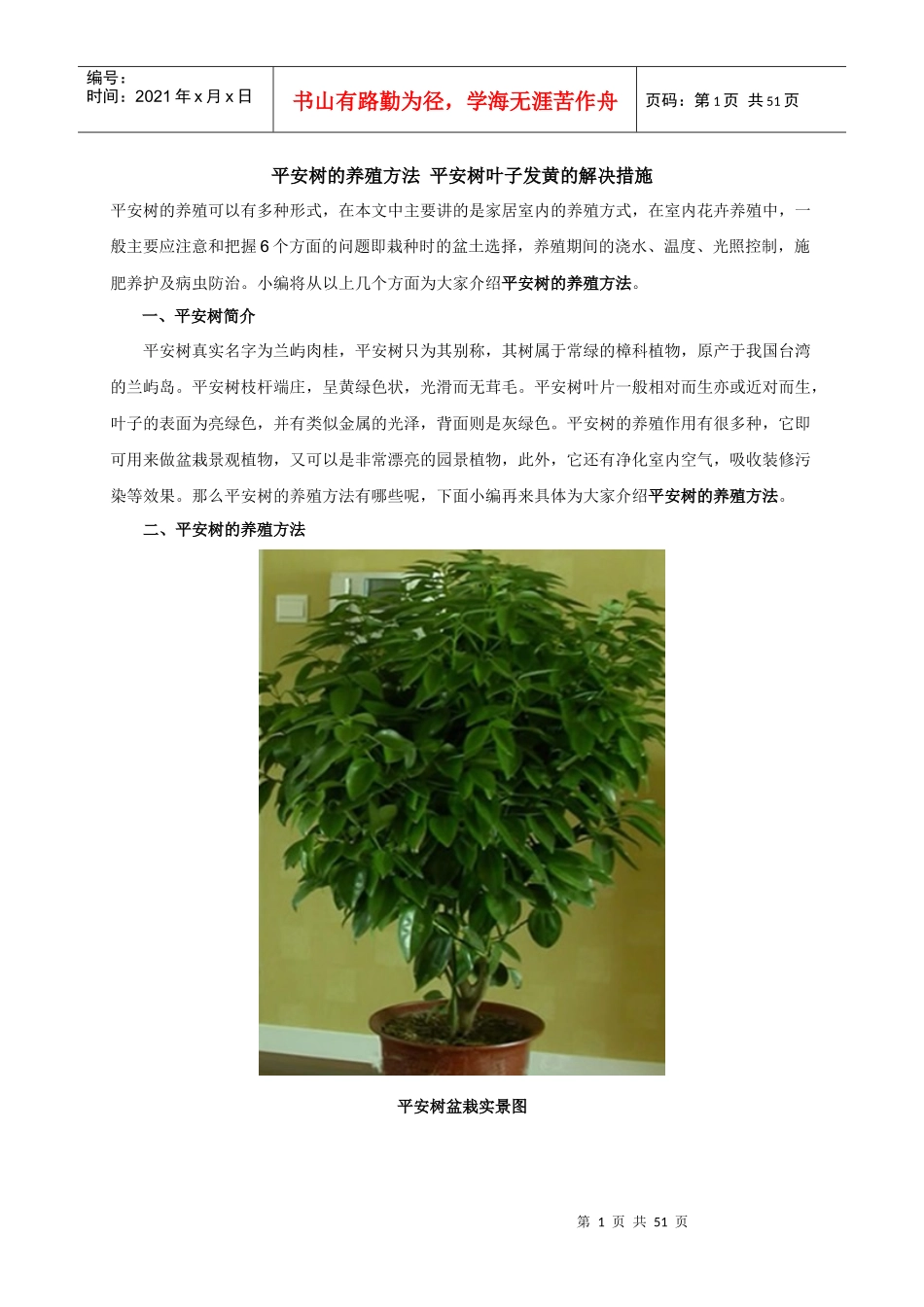 家庭常见观赏花木的养殖方法和注意事项_第1页