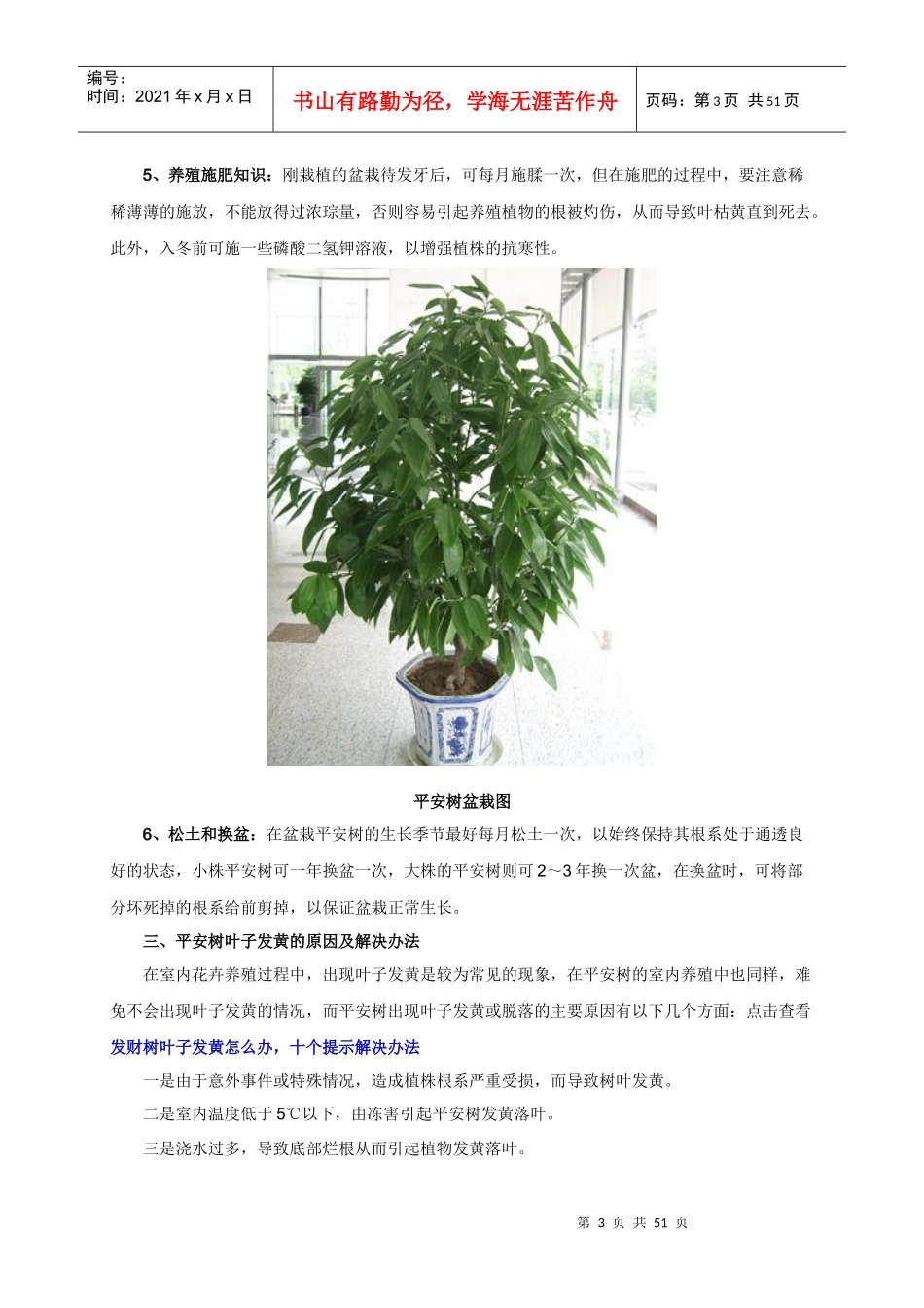 家庭常见观赏花木的养殖方法和注意事项_第3页