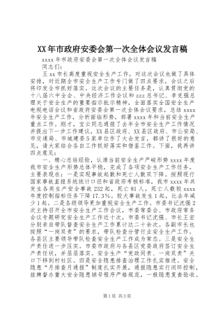 XX年市政府安委会第一次全体会议发言