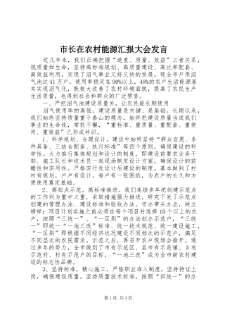市长在农村能源汇报大会发言稿