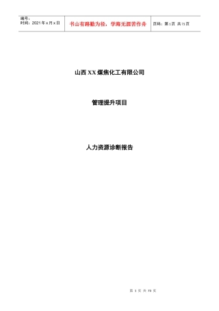 山西某煤焦化工公司人力资源诊断报告